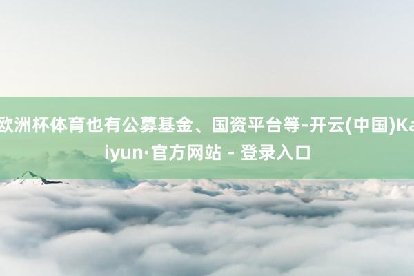 欧洲杯体育也有公募基金、国资平台等-开云(中国)Kaiyun·官方网站 - 登录入口