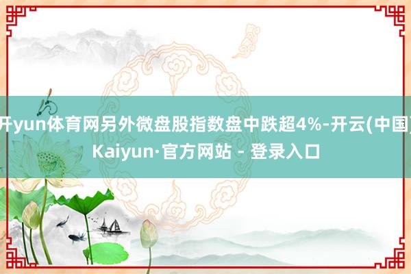 开yun体育网另外微盘股指数盘中跌超4%-开云(中国)Kaiyun·官方网站 - 登录入口
